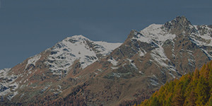 xag-300x2048-ita-46031.jpg